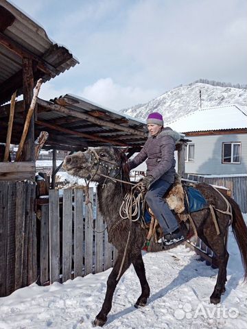 Лошадь и жеребята купить на Зозу.ру - фотография № 6