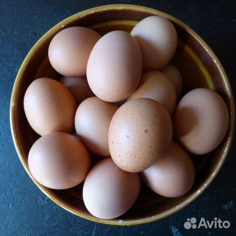 Бройлерное инкубационное яйцо купить на Зозу.ру - фотография № 1