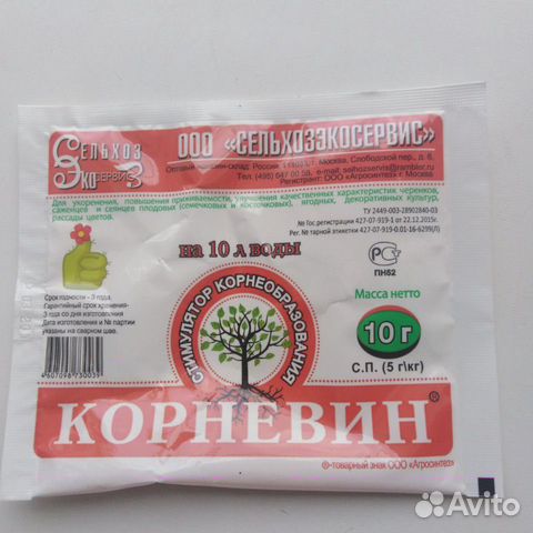 Корневин