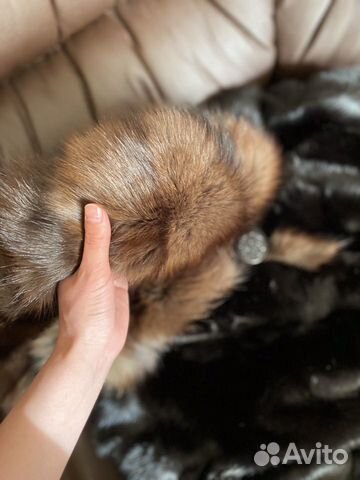 Шуба норковая, капюшон из соболя