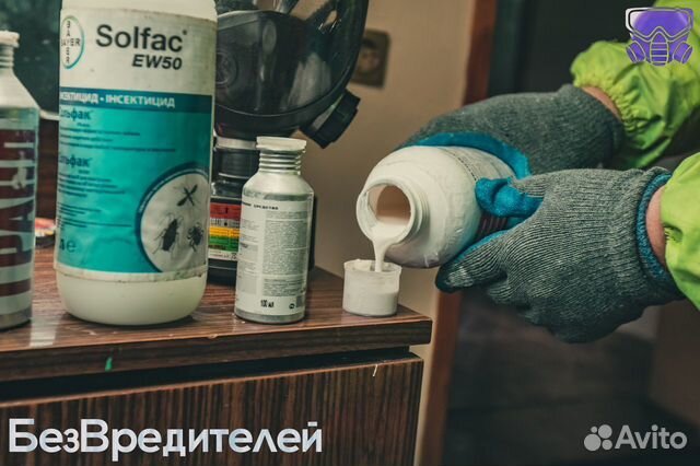 Уничтожение Клопов Тараканов Клещей Вшей Блох