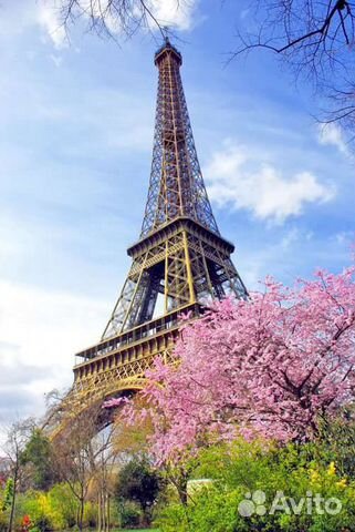 Репетитор по Французскому языку