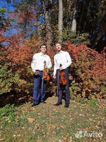 Дуэт скрипачей
