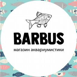 Зоомагазин Интернет Магазин Иркутск
