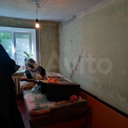 2-к. квартира, 45 м², 1/5 эт.