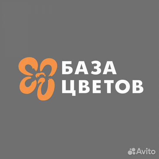 Помощник флориста без опыта