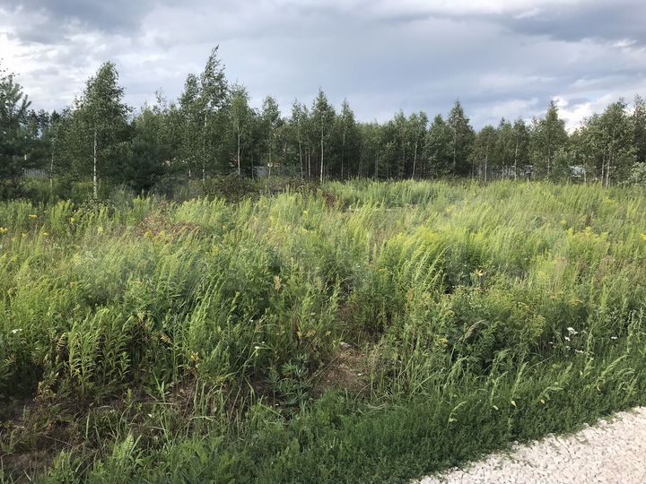 Участок 20 сот. (ИЖС)