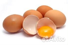 Сортировщики фасовщики яиц