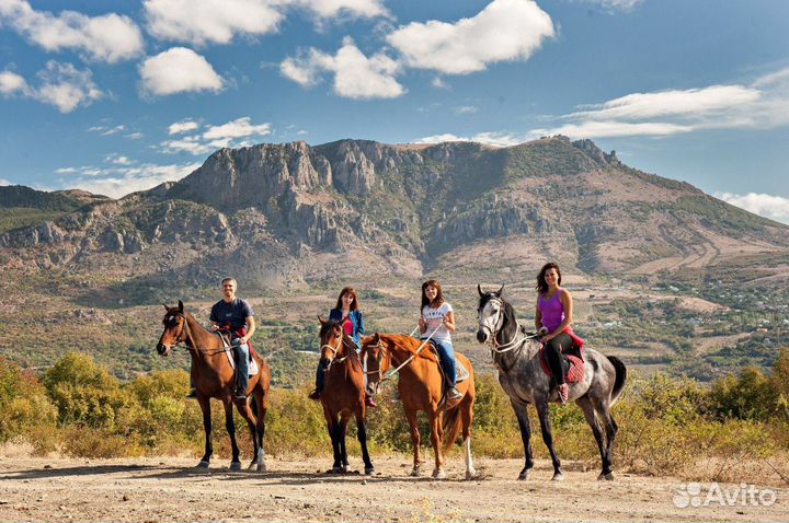 Конные прогулки. Экскурсии на лошадях