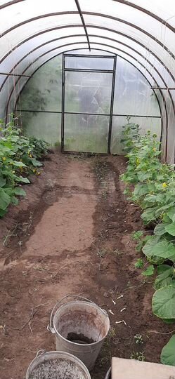 Дом 40 м² на участке 5,9 сот.