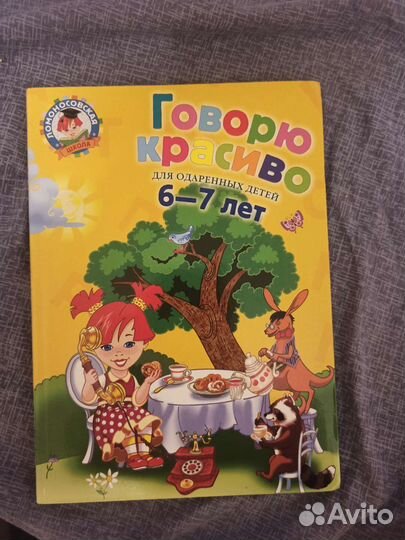 Ломоносовская школа 6-7