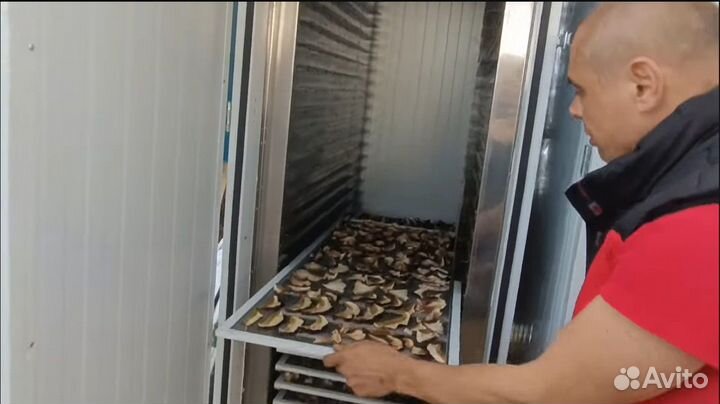 Сушильная камера от производителя пищевая