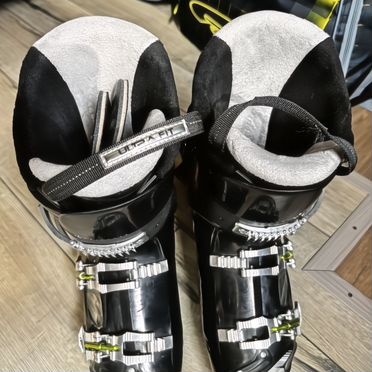 Горные лыжи