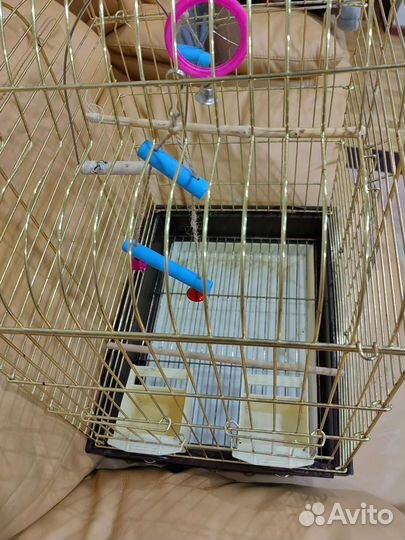 Клетка для попугая корелла