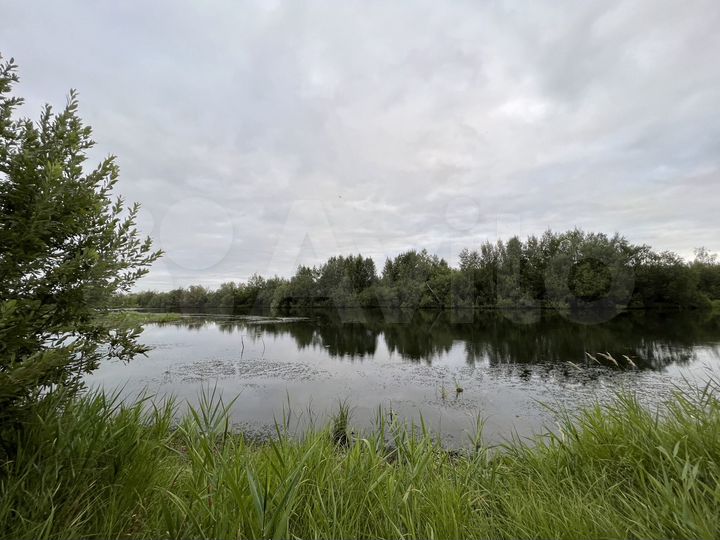 Участок 15 сот. (СНТ, ДНП)