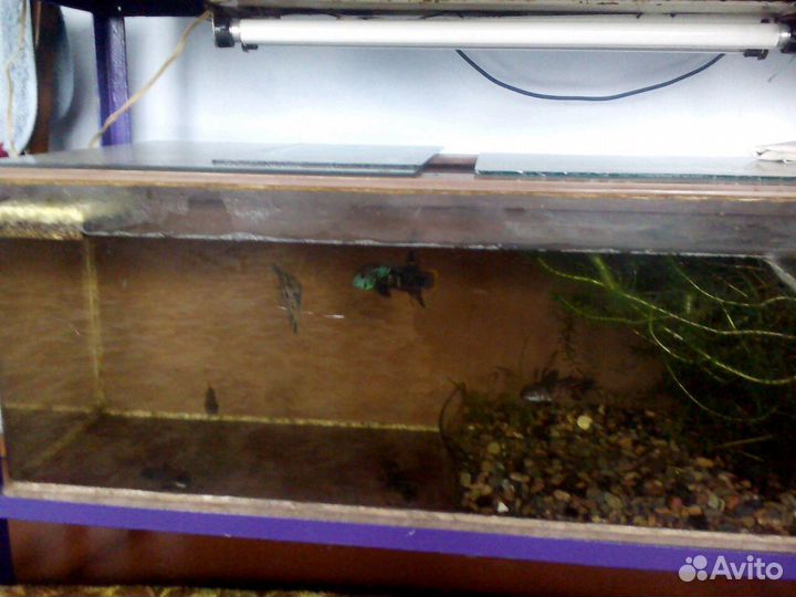 Аквариум разные бу