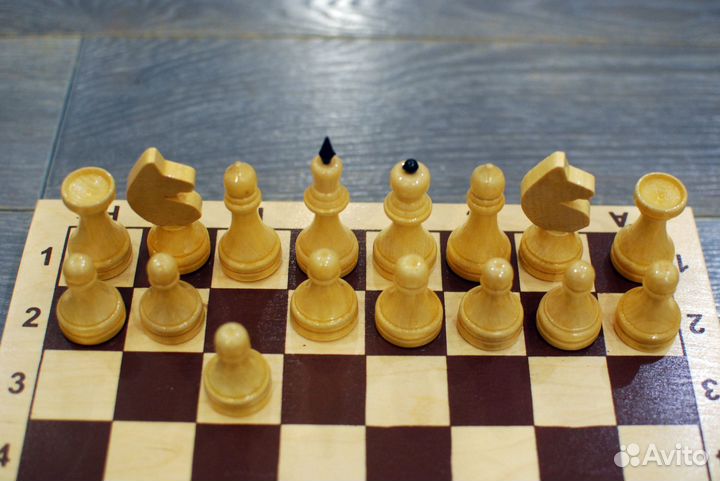 Шахматы школьные