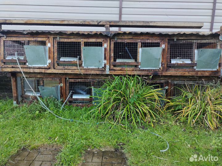 Курятник, клетки для кур, бройлеров или кроликов