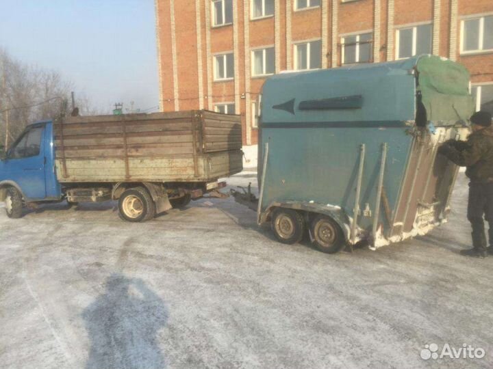 Перевозка крупно рогатого скота