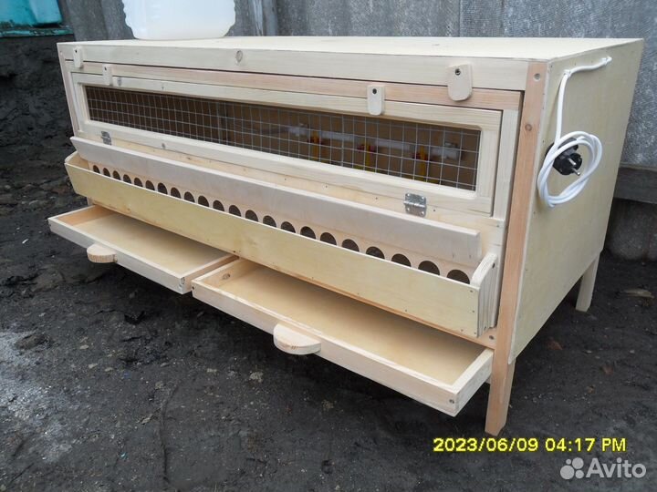 Брудер для суточной домашней птицы