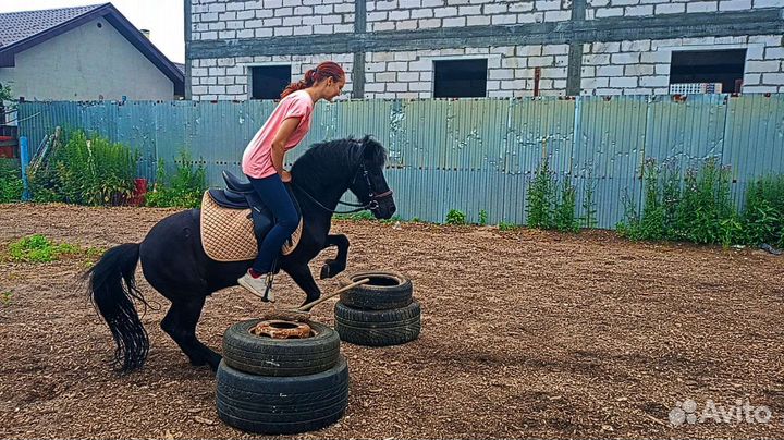 Занятия на пони