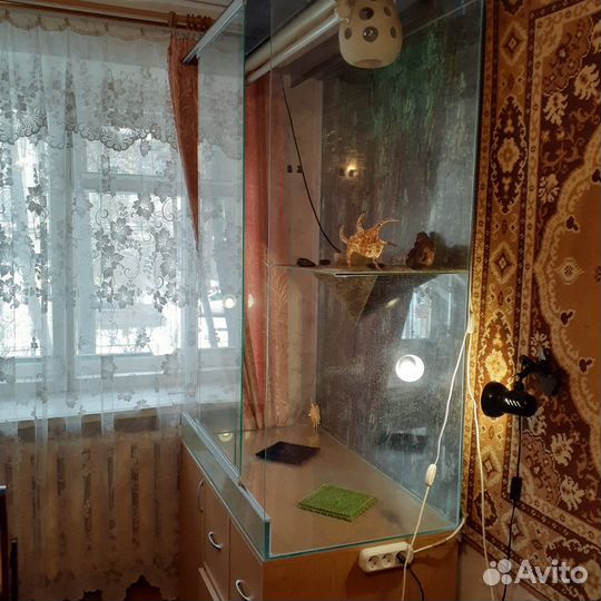 Террариум для хамелеона