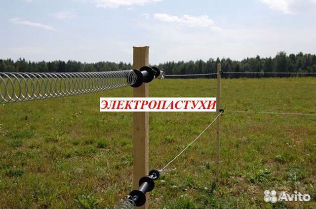 Электропастух