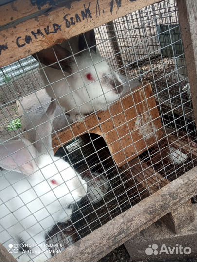 Клетка для кролика