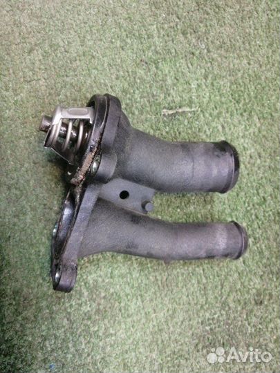 Корпус термостата Ford Focus 3 CB8 1.6 iqdb 2011