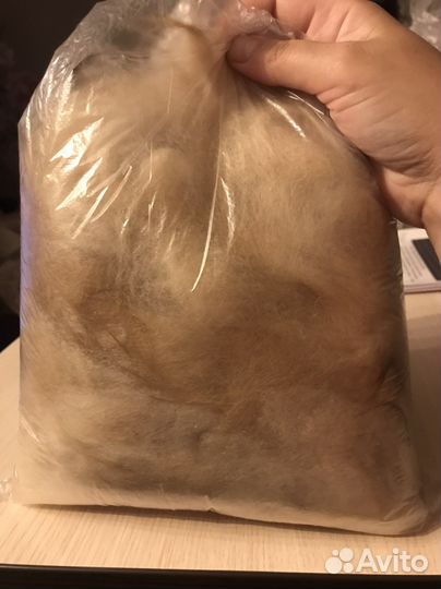 Шерсть домашней собаки