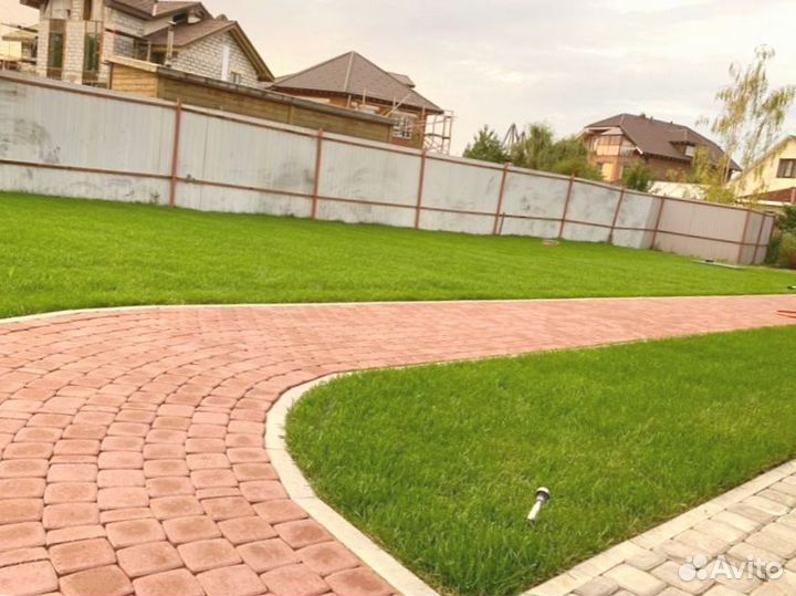 Рулонный газон 