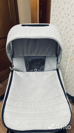 Коляска 2 в 1 Adamex Amelia