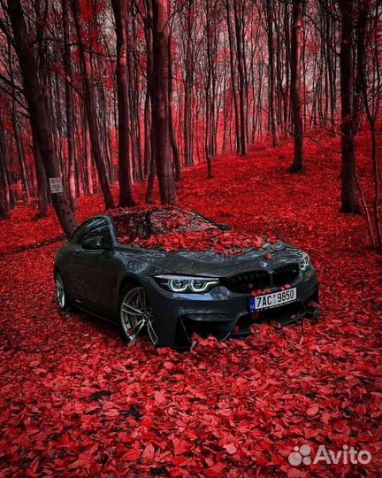 Оплата утиль сбора срочно