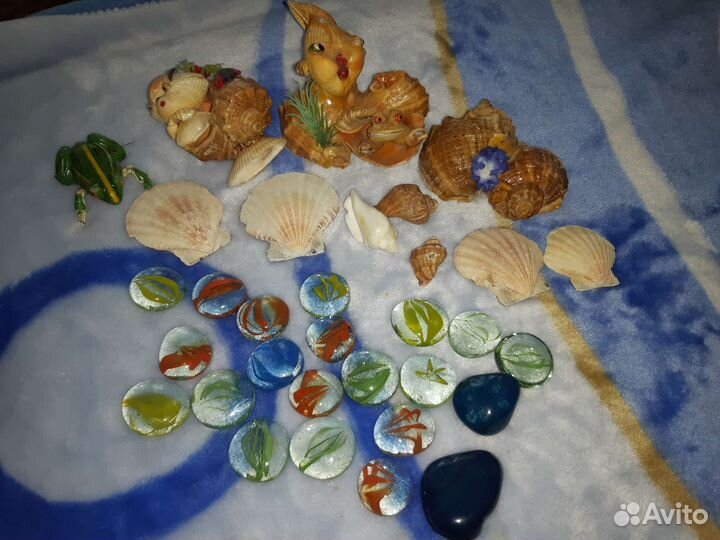 Морские ракушки раковины