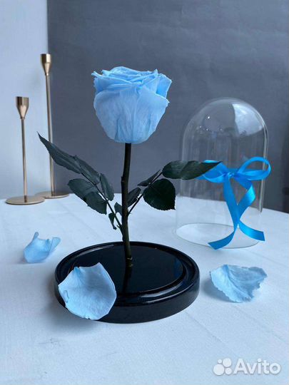 Вечная роза в колбе