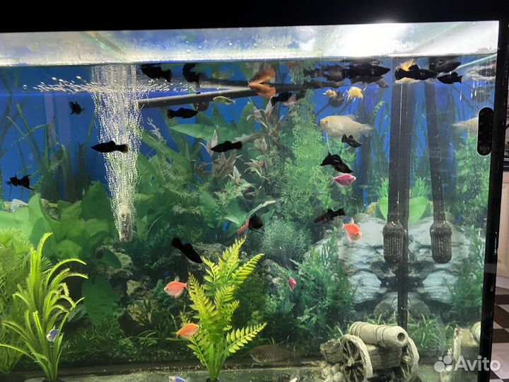 Аквариум с рыбками и тумбой