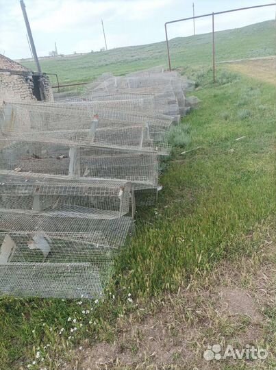 Сетки для кур