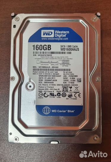 Жесткий диск WD Carnival Blue 250 GB