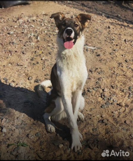 Забери меня домой