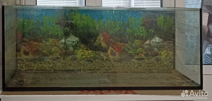 Аквариум 240л