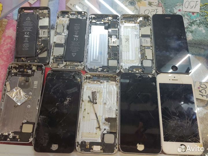 Камера на iPhone 8 plus