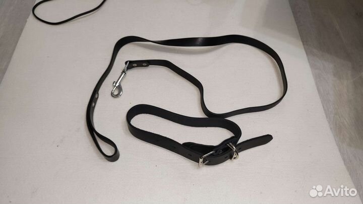 Два ошейника, поводок