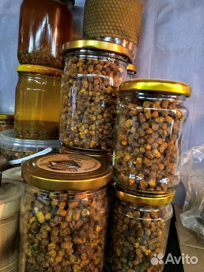 Перга Пчелиная