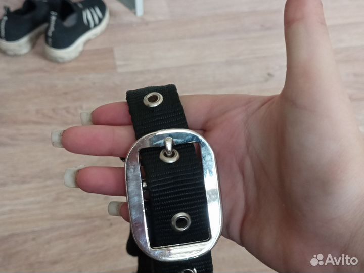 Недоуздка на пони-жеребенка