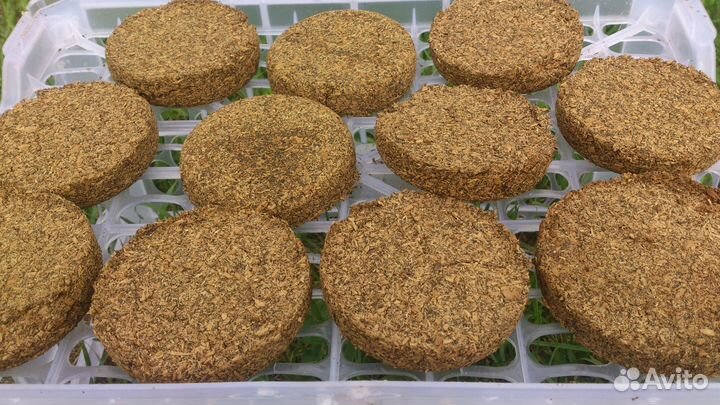 Колода для пчёл