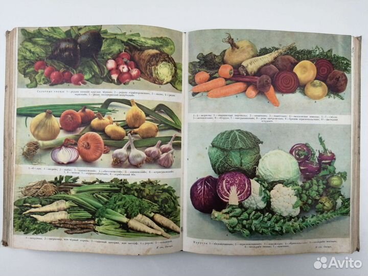 Энциклопедия домашнего хозяйства