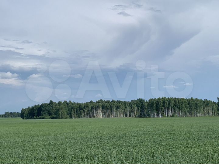Участок 24 сот. (СНТ, ДНП)