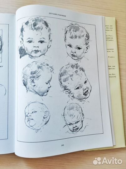 Книга Эндрю Лумис Рисование фигуры