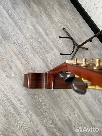 Гитара Bulldog DN-Sigma 3