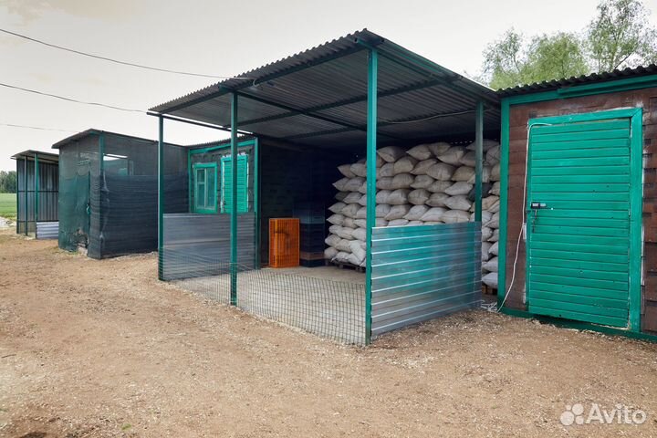 Усадьба фермерский бизнес птицеферма молодняка